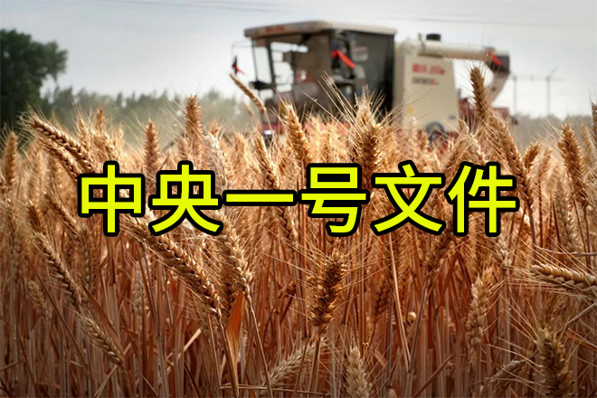 《轉發》老趙說農資：解讀2024中央一號文件，肥料生產企業這樣干